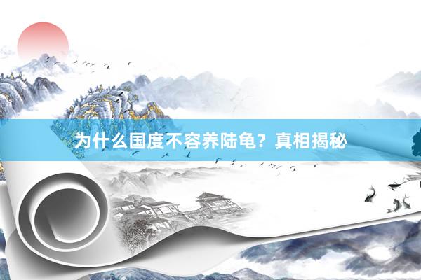 为什么国度不容养陆龟？真相揭秘